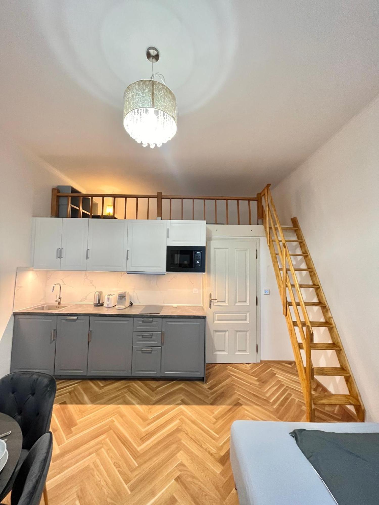 Newly Renovated In Wenceslas Square Apartment Prague