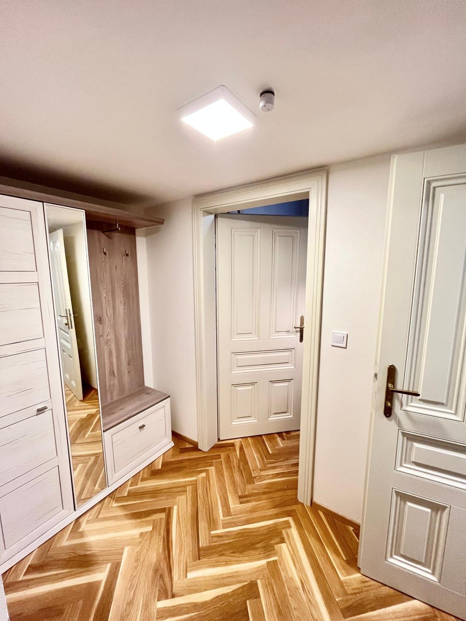 Apartment Newly Renovated In Wenceslas Square *